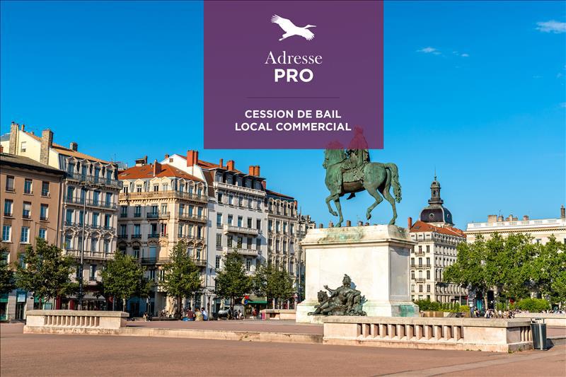 Bourse De L Immobilier Agences Immobilier Professionnel Bordeaux 33100 Bureauxlocaux Com