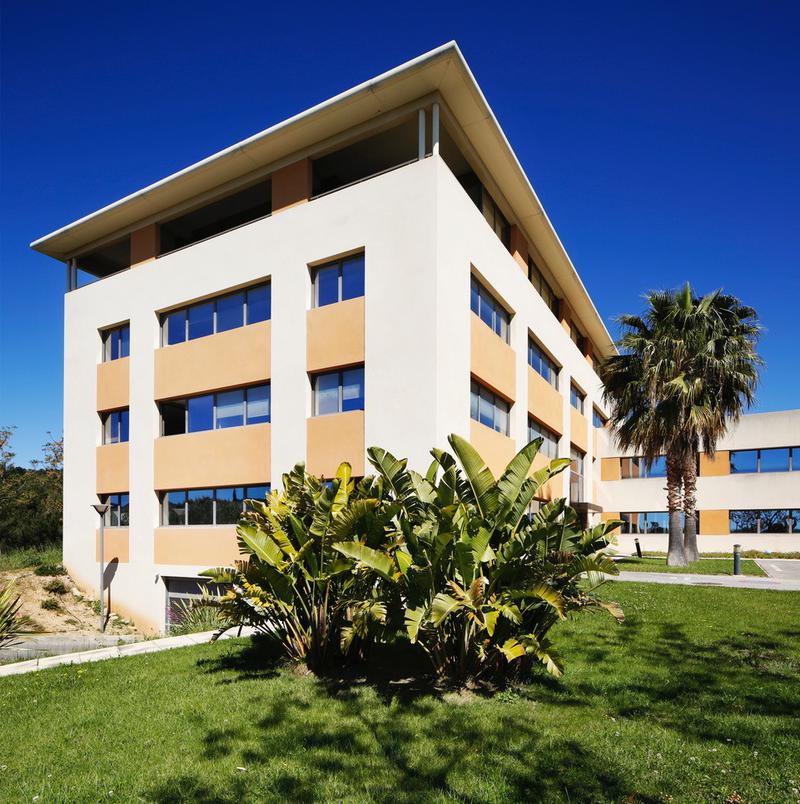 Location Bureaux 207 m² - Photo 1