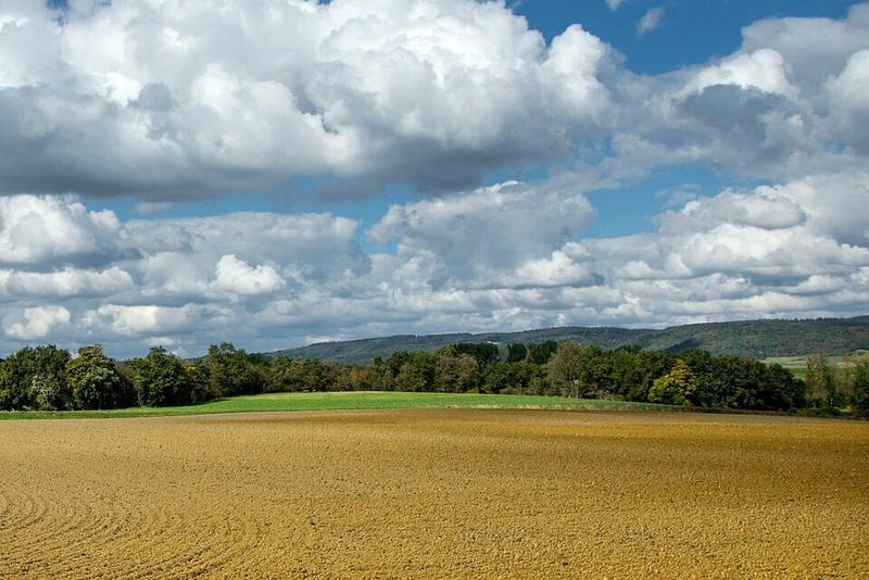 Vente Terrain 390 000 m² - Photo 1