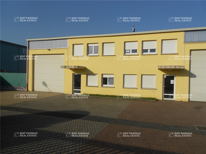 BNP Paribas Real Estate STRASBOURG BUREAUX-ACTIVITE ...